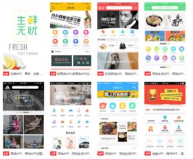 电商APP开发全攻略 关键方面与核心要素详解